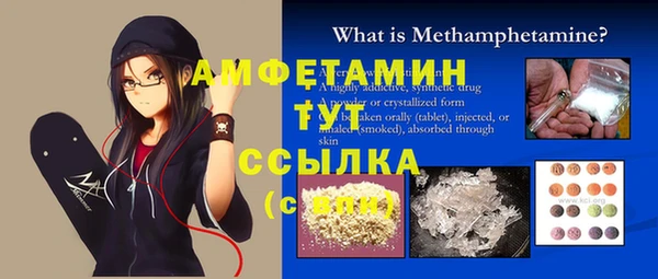 шишки Горняк
