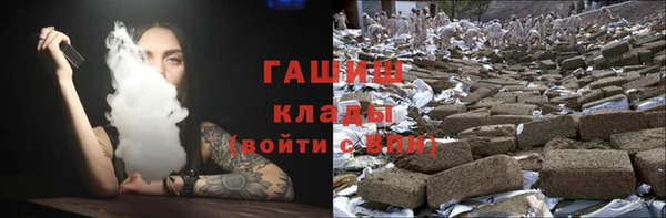 шишки Горняк