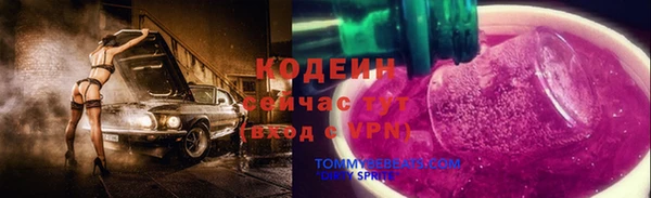 шишки Горняк
