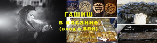 шишки Горняк