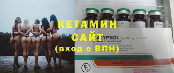 шишки Горняк