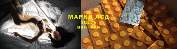гашик Горно-Алтайск