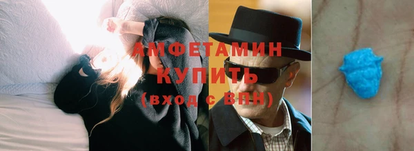 шишки Горняк