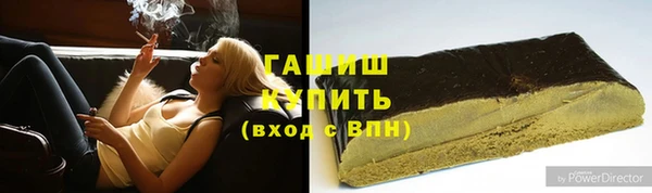 шишки Горняк