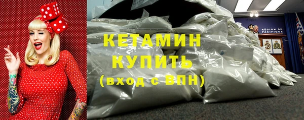 шишки Горняк