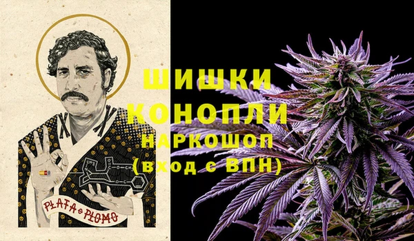 шишки Горняк