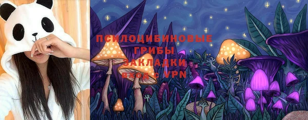 шишки Горняк