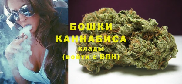 крисы Горнозаводск