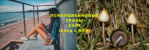 шишки Горняк