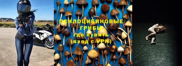 крисы Горнозаводск