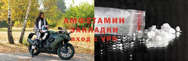 шишки Горняк