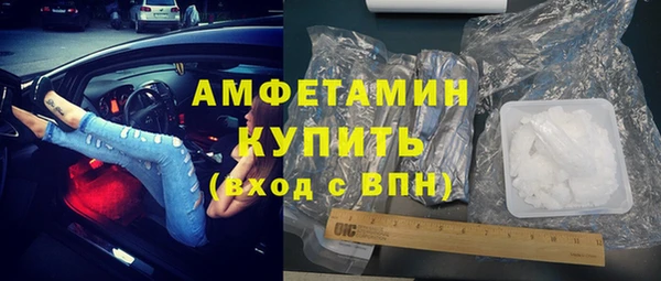 шишки Горняк