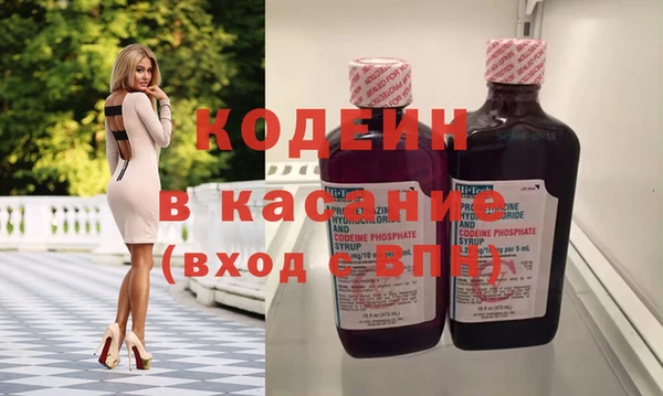 шишки Горняк
